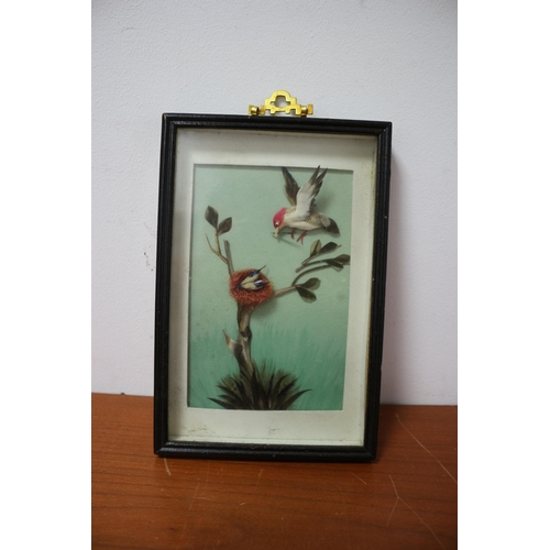 260 - Box Vintage Oriental Framed Bird Feeding Babies, Made from Feathers, 23.5cm Tall