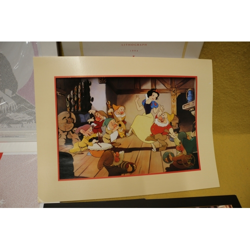 16 - Selection of 'Chapter' Pictures plus Snow White Exclusive Collection Commemorative Lithograph plus B... 