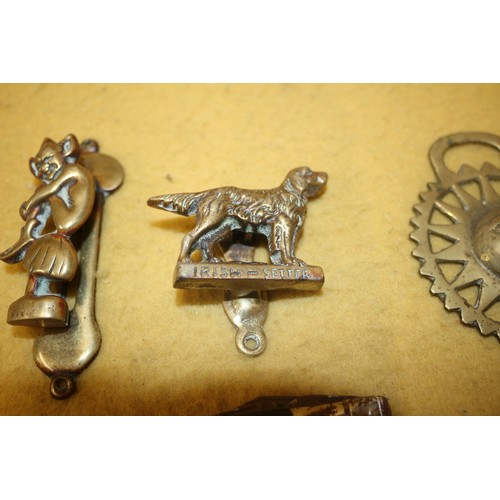 243 - 2 x Brass Door Knockers, Pixie and Irish Setter Dog plus Miniature Knife and a Vintage Horse Brass