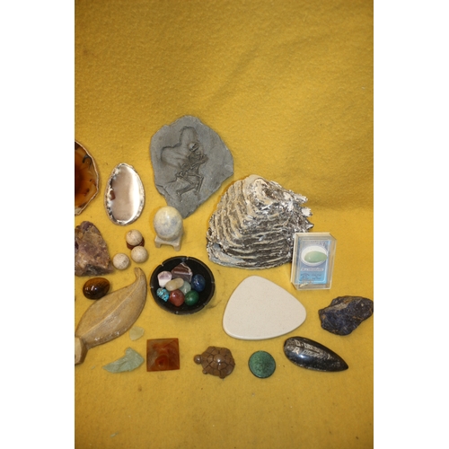 19 - Good Selection of Semi Precious Stones, Fossil and Geode Slices