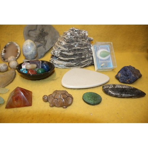 19 - Good Selection of Semi Precious Stones, Fossil and Geode Slices