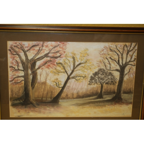 211 - Pastels of a Woodland Scene, Signed, 61 x 43 cm