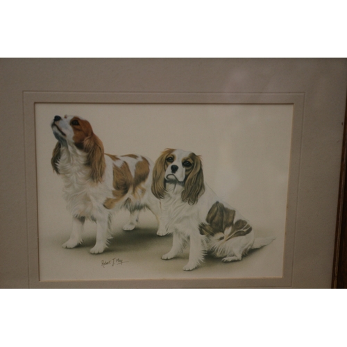 228 - Robert May Print of Spaniels, 30 x 25 cm