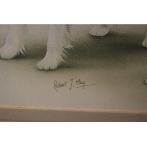 228 - Robert May Print of Spaniels, 30 x 25 cm