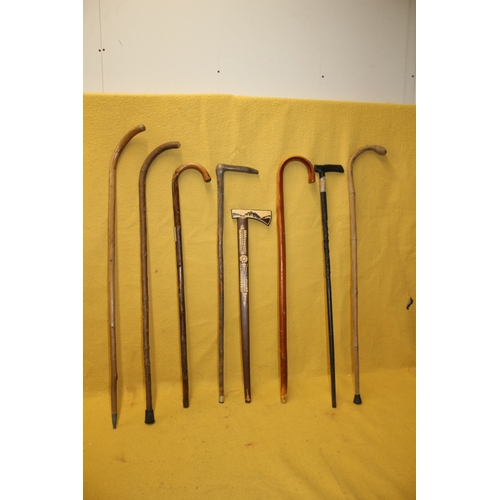 251 - 8 Vintage Walking Sticks Including Hospital