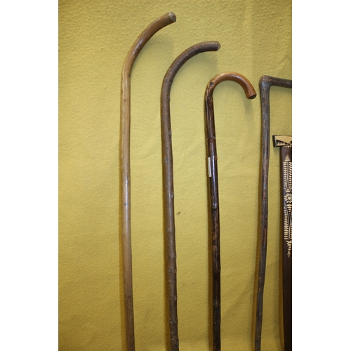 251 - 8 Vintage Walking Sticks Including Hospital