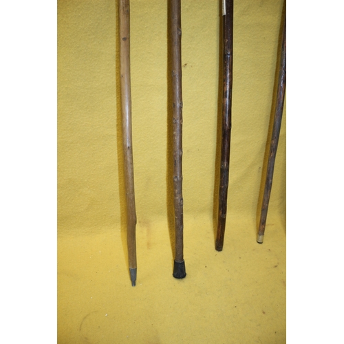 251 - 8 Vintage Walking Sticks Including Hospital