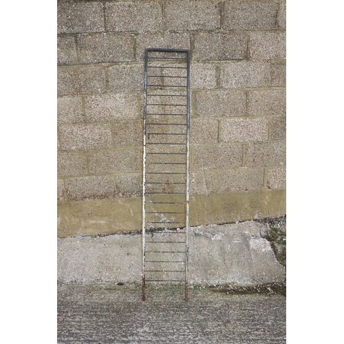 253 - Vintage Plant Ladder, 200 cm Tall - Possibly Ladderax?