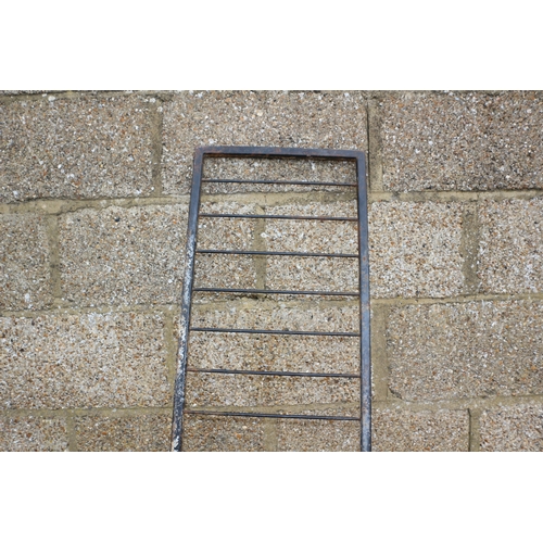 253 - Vintage Plant Ladder, 200 cm Tall - Possibly Ladderax?