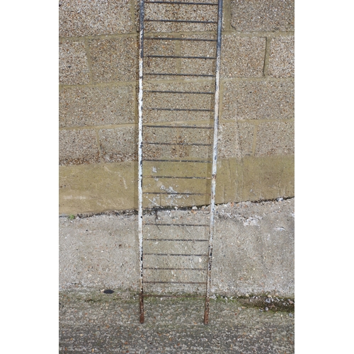 253 - Vintage Plant Ladder, 200 cm Tall - Possibly Ladderax?