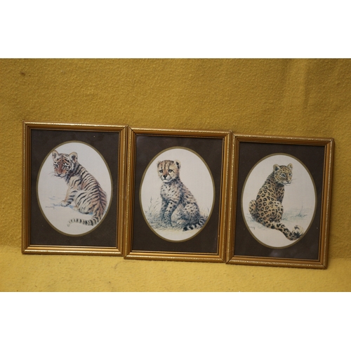 440 - Signed Sylvia Duran Prints of Cubs, 34 x 26 cm each