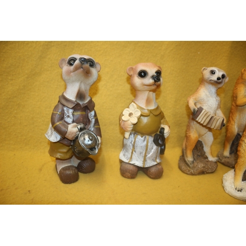 97 - Meercat Band and 2 Cats