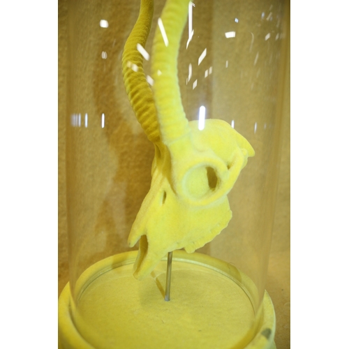 98 - Deer Skull in Glass Dome, 30cm Tall