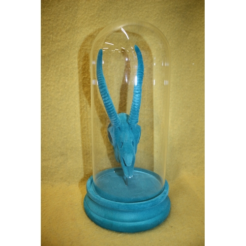 99 - Deer Skull in Glass Dome, 30cm Tall