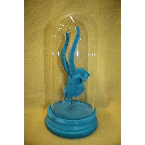 99 - Deer Skull in Glass Dome, 30cm Tall