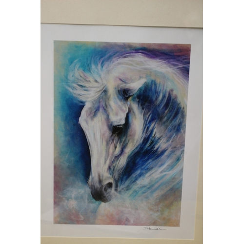 464 - Picture of a White Horse - 55 x 45