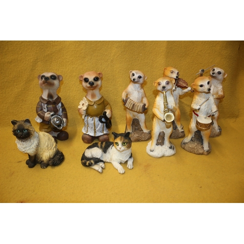 157 - Meercat Band and 2 Cats