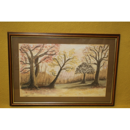 236 - Pastels of a Woodland Scene, Signed, 61 x 43 cm