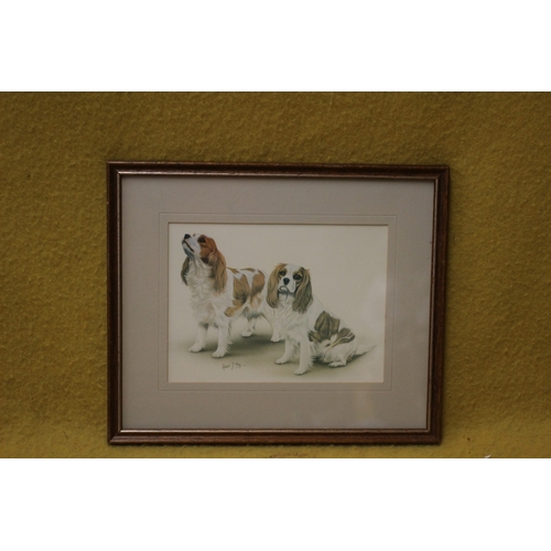 252 - Robert May Print of Spaniels, 30 x 25 cm