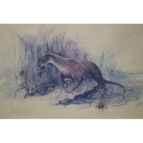 54 - Signed and stamped print titled 'Otter' 59cm x 49cm