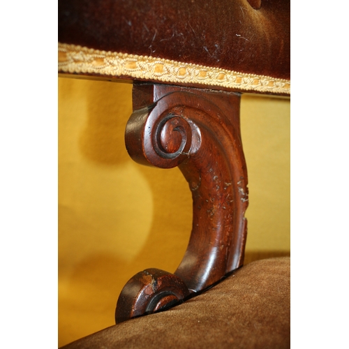 100 - Antique Victorian Mahogany Cockfighting Horseshoe Back Library Arm Chair with Velour Covering