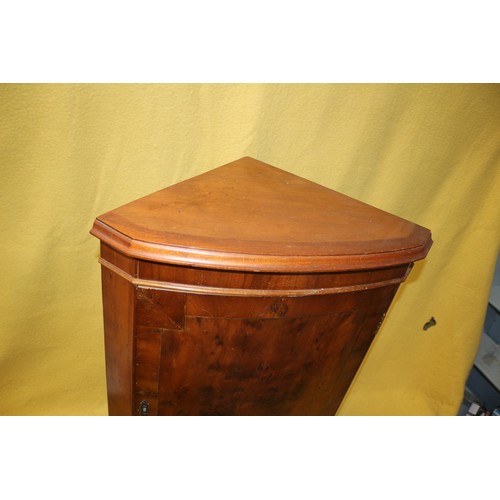 521 - Corner Wall Cabinet - 81.5cm Tall