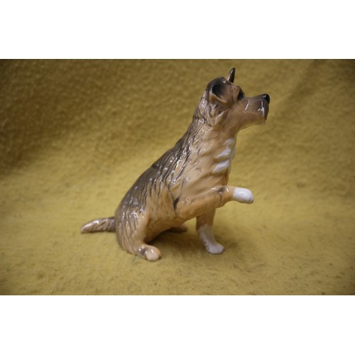 153 - Royal Doulton Dog with Paw Raised