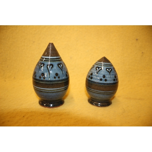 203 - Pottery Cruet Set