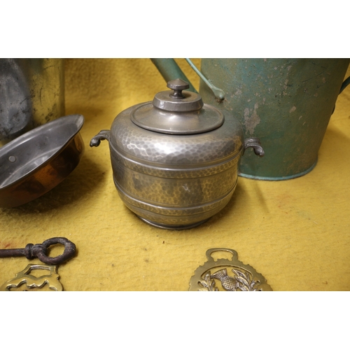 213 - Vintage Metal Watering Can, Coal Bucket Plus Other Metal ware