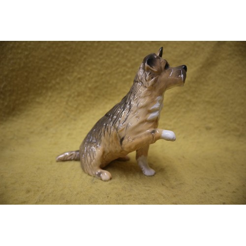 237 - Royal Doulton Dog with Paw Raised