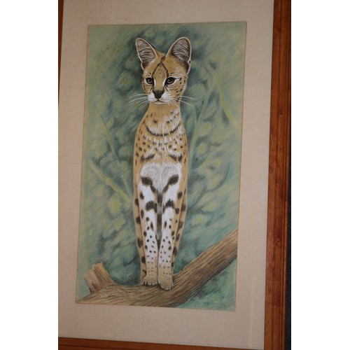 9 - Original Painting of a Cheetah by William Newman, 63 x 43cm