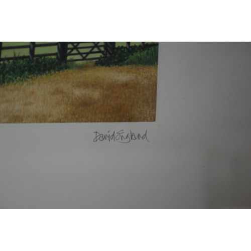 19 - David England 'Field & Fence' , 71 x 33 cm