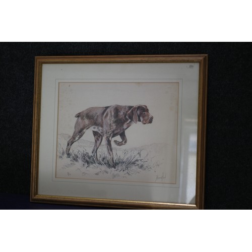 66 - Print Depicting a Pointer Dog, Signed, 35 x 29 cm