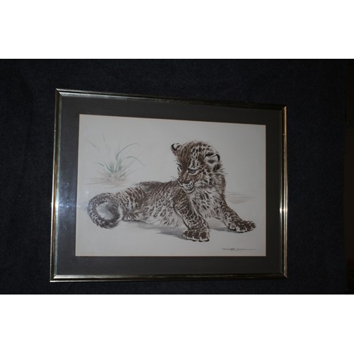 76 - Print of a Cheetah Cub, 51 x 67 cm