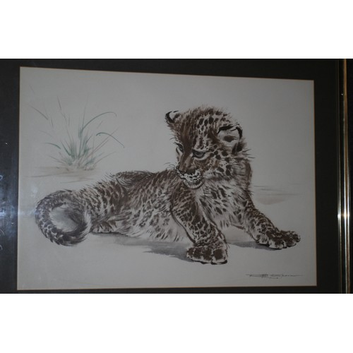 76 - Print of a Cheetah Cub, 51 x 67 cm