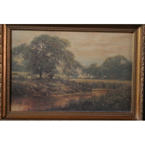 87 - Oil on Board of River Scene, Signed Diphall, 38 x 53 cm