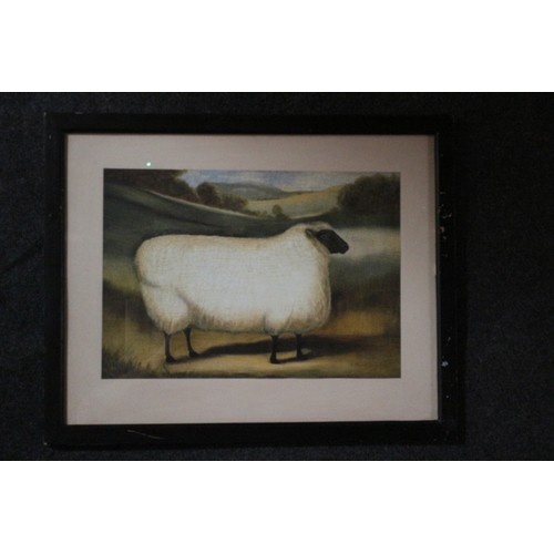 98 - Famous Sheep Print, 55 x 44 cm