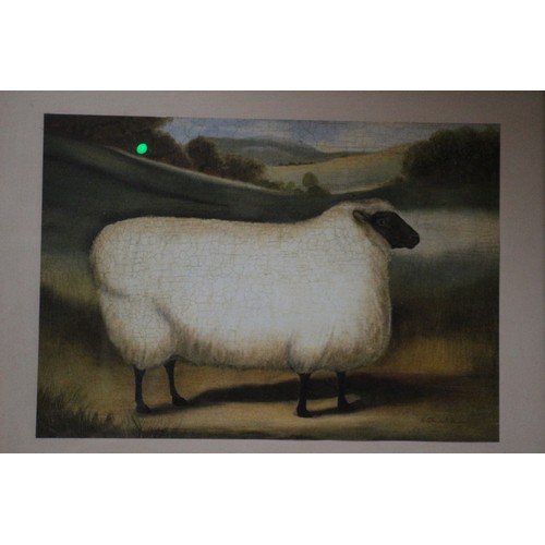 98 - Famous Sheep Print, 55 x 44 cm