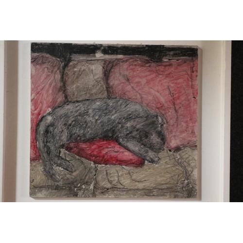 286 - Dog Laying on Wood, 55 x 52 cm