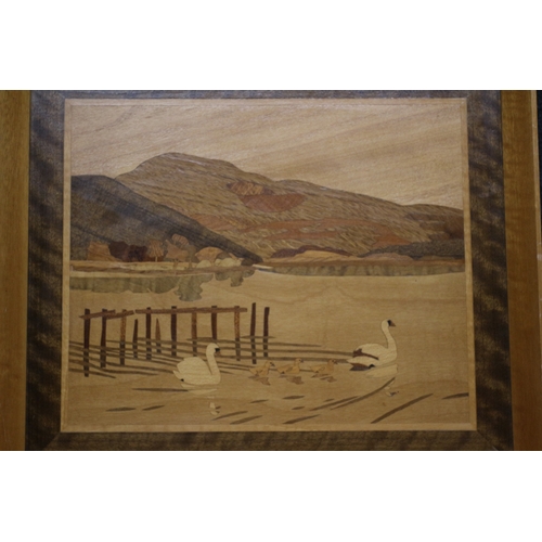 379 - Marquetry Swans, 38 x 33 cm