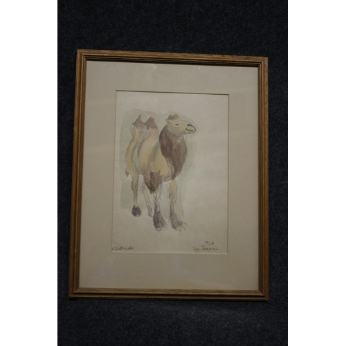 384 - Camel Watercolour, Signed, 37 x 29 cm