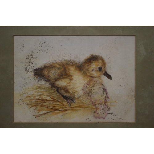 406 - Duckling Watercolour by Olive West, 30 x 24 cm