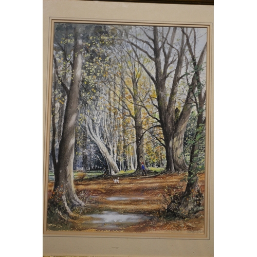 411 - 'A Walk Through the Woods', Watercolour Over Pencil, 46 x 56 cm