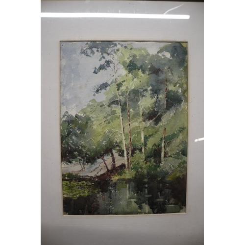 116 - Watercolour of Trees Signed E E Willis - 48 x 58cm