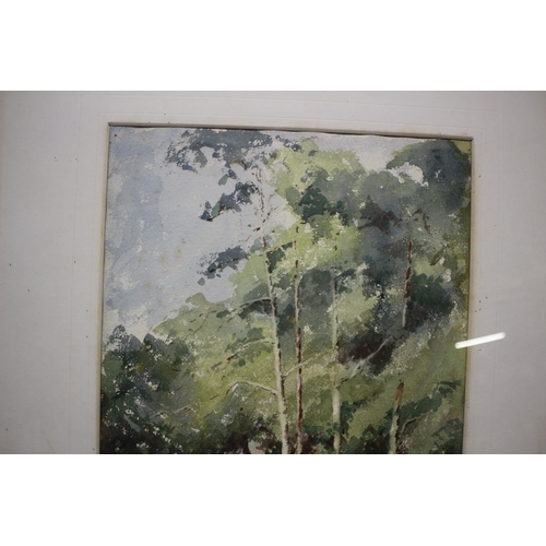 116 - Watercolour of Trees Signed E E Willis - 48 x 58cm