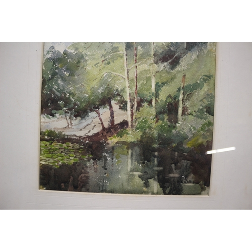 116 - Watercolour of Trees Signed E E Willis - 48 x 58cm