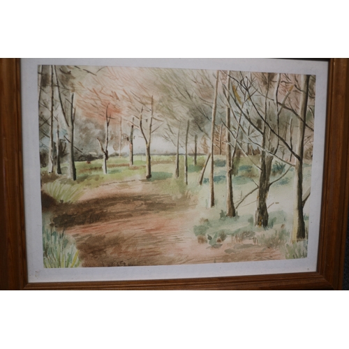 118 - Watercolour of Trail in a Wooded Area - 49 x 39cm