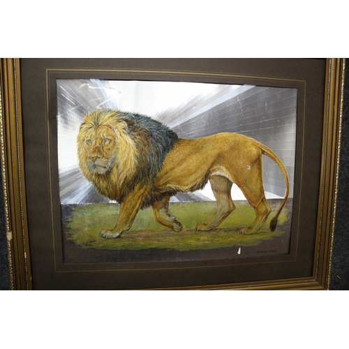 126 - Lion by William Finch - 55 x 45cm