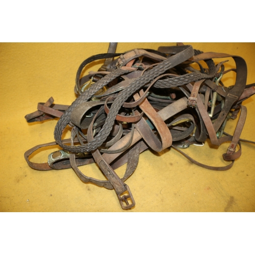 46 - Large Selection of Vintage Leather Horse Tackle including Vintage Brasses