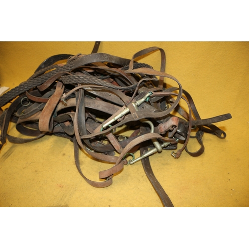 46 - Large Selection of Vintage Leather Horse Tackle including Vintage Brasses